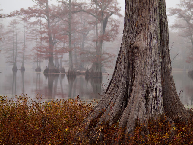 Rosenbaum Lake