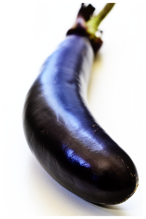 eggplant© by Haalo