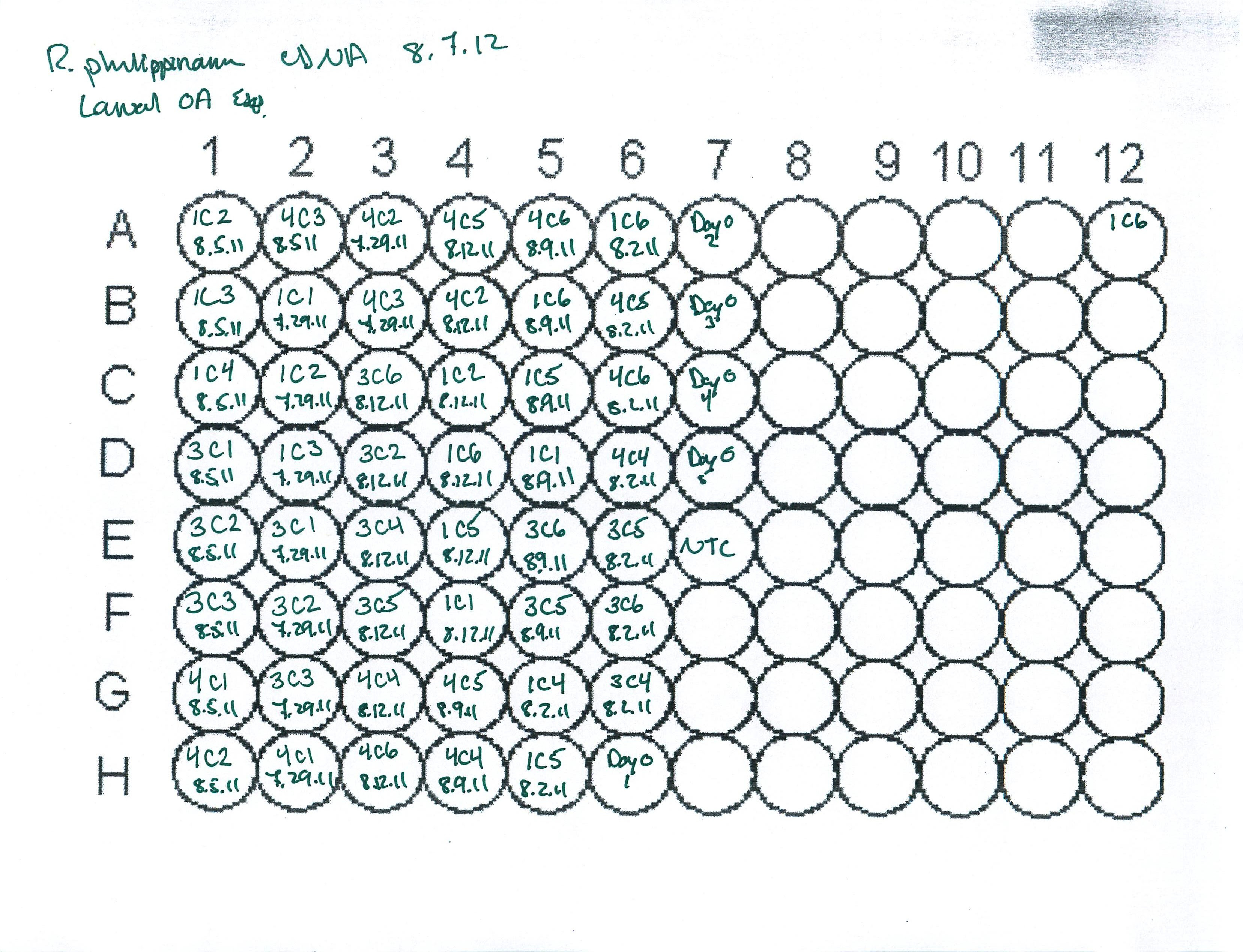 96 Well Plate Map Printable