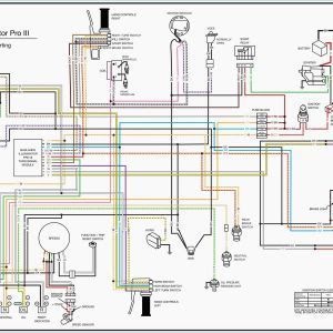 E36 Wiring Diagram - How Jobs