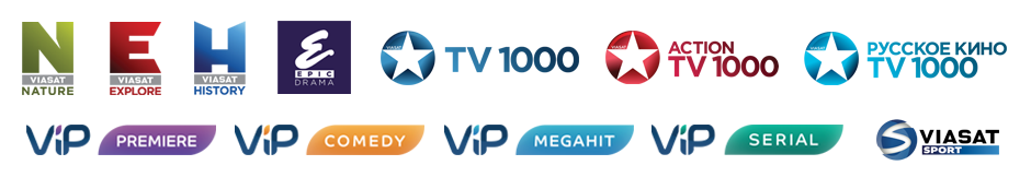 ТВ 1000. Телеканал tv1000. Логотип канала ТВ 1000. Tv1000 Action логотип. Телеканал вижу 1000