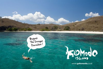 komodo02 beyond dragon paradise komodo02 beyond dragon paradise