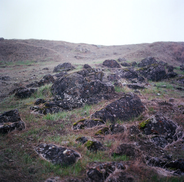 Fog and Rocks