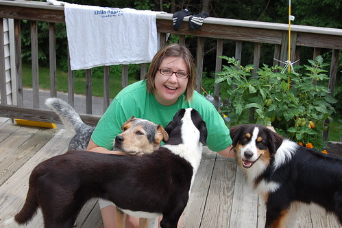 Meeting Stacey's dogs