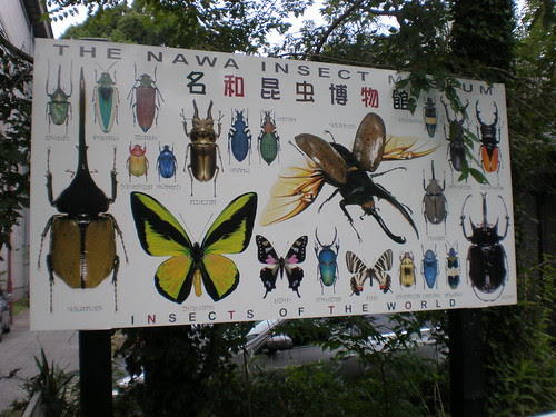Nawa Insect Museum sign, Gifu, Japan