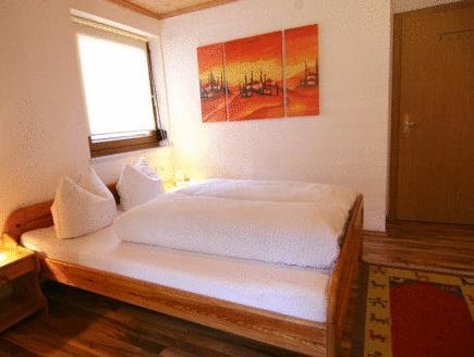 Appartements Enzian  Hotels Finkenberg Austria