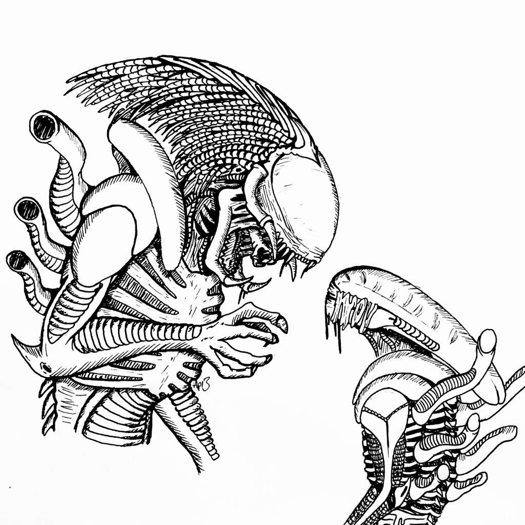 xenomorph predator predalien getdrawingscom