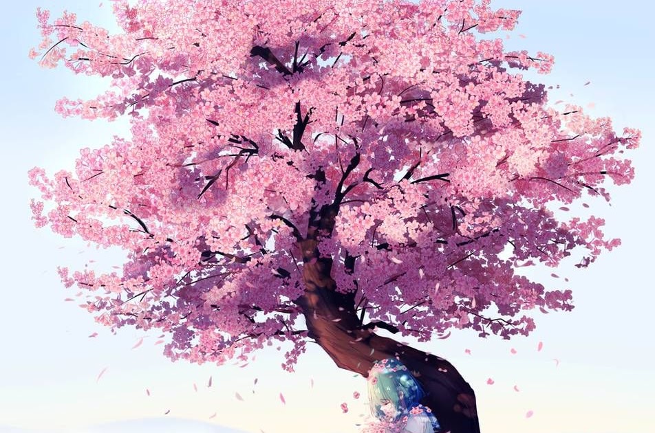 Cherry Blossom Tree Png Anime / Cherry Blossom Tree Drawing 800 800