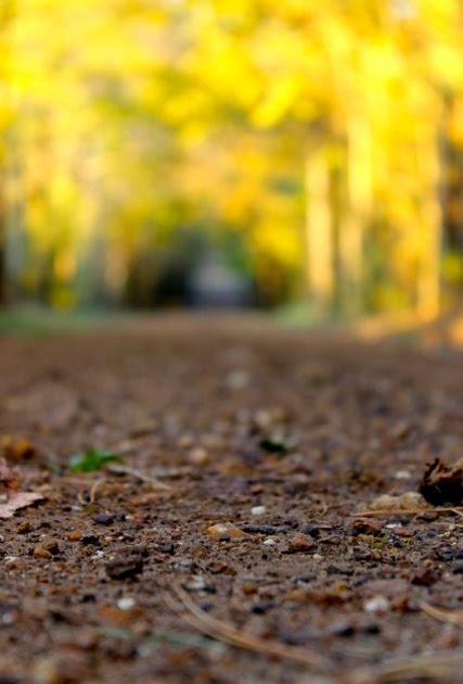 Best Of Natural Picsart Background Photos Hd wallpaper