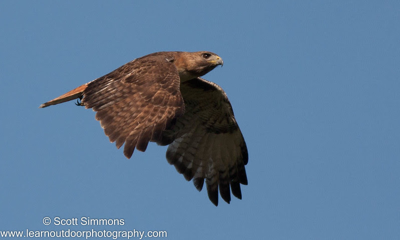 Photo & Video Sharing by SmugMug Photo & Video Sharing by SmugMug