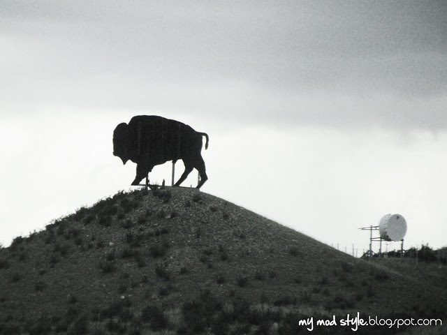 Colorado 3