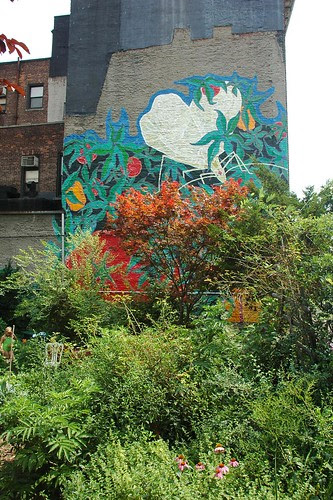 Brooklyn Bear's Carlton Avenue Garden
