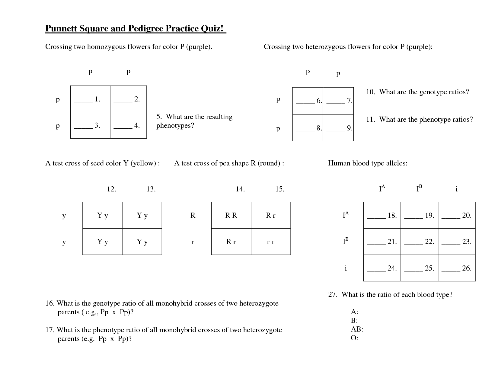 34 Punnett Square Practice Problems Worksheet Answers Free Worksheet Spreadsheet