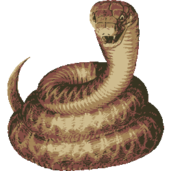 コレクション リアル 白蛇 蛇 イラスト Josspicturexbnzg