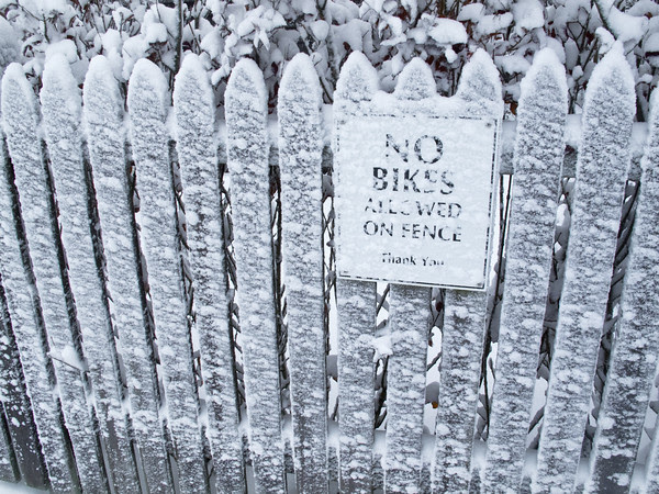 Edgartown, Snow, Christmas