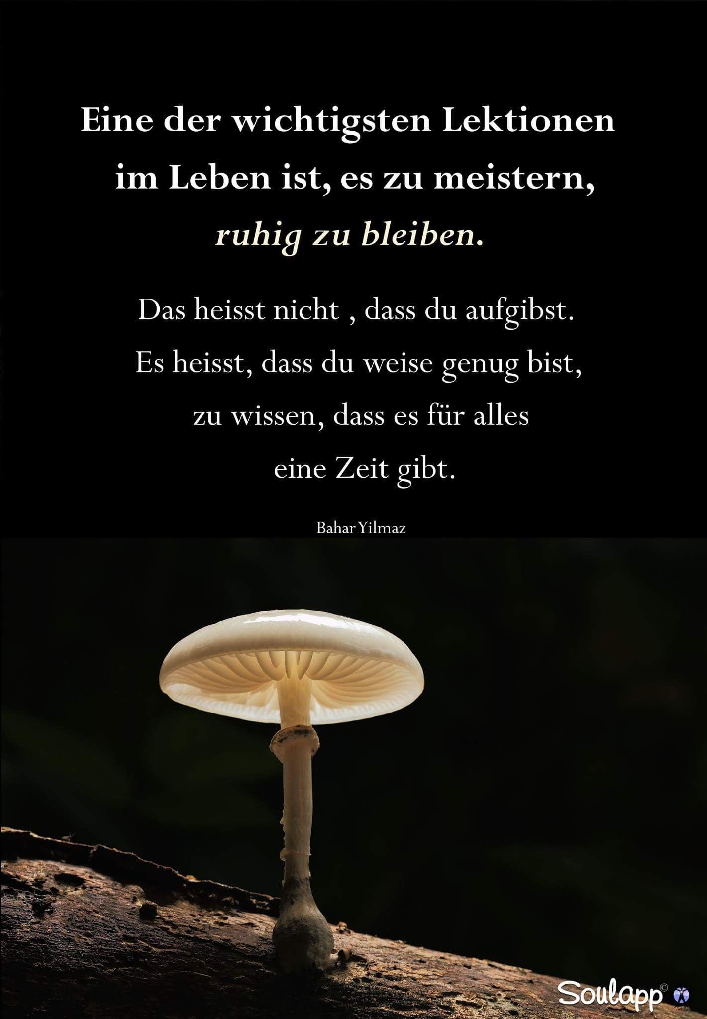 Spruche Aufmuntern Nach Trennung Zitate Die Bei