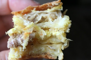 Pita sa mesom i podvarkom