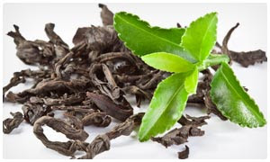 green tea