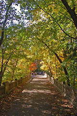 bridge in fall