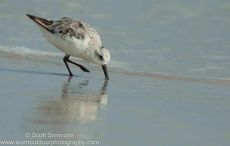 Photo & Video Sharing by SmugMug Photo & Video Sharing by SmugMug