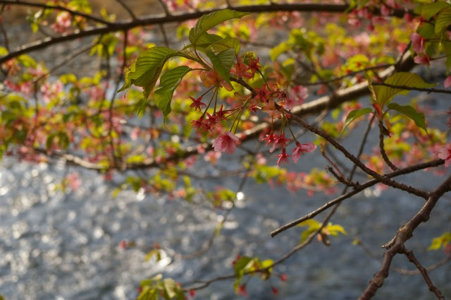 20130320 (18)