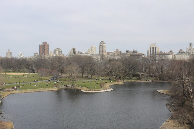 In Central Park, a Leisurely Walk from the Pond to the Reservoir