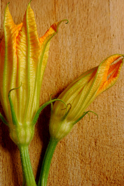 zucchini flowers