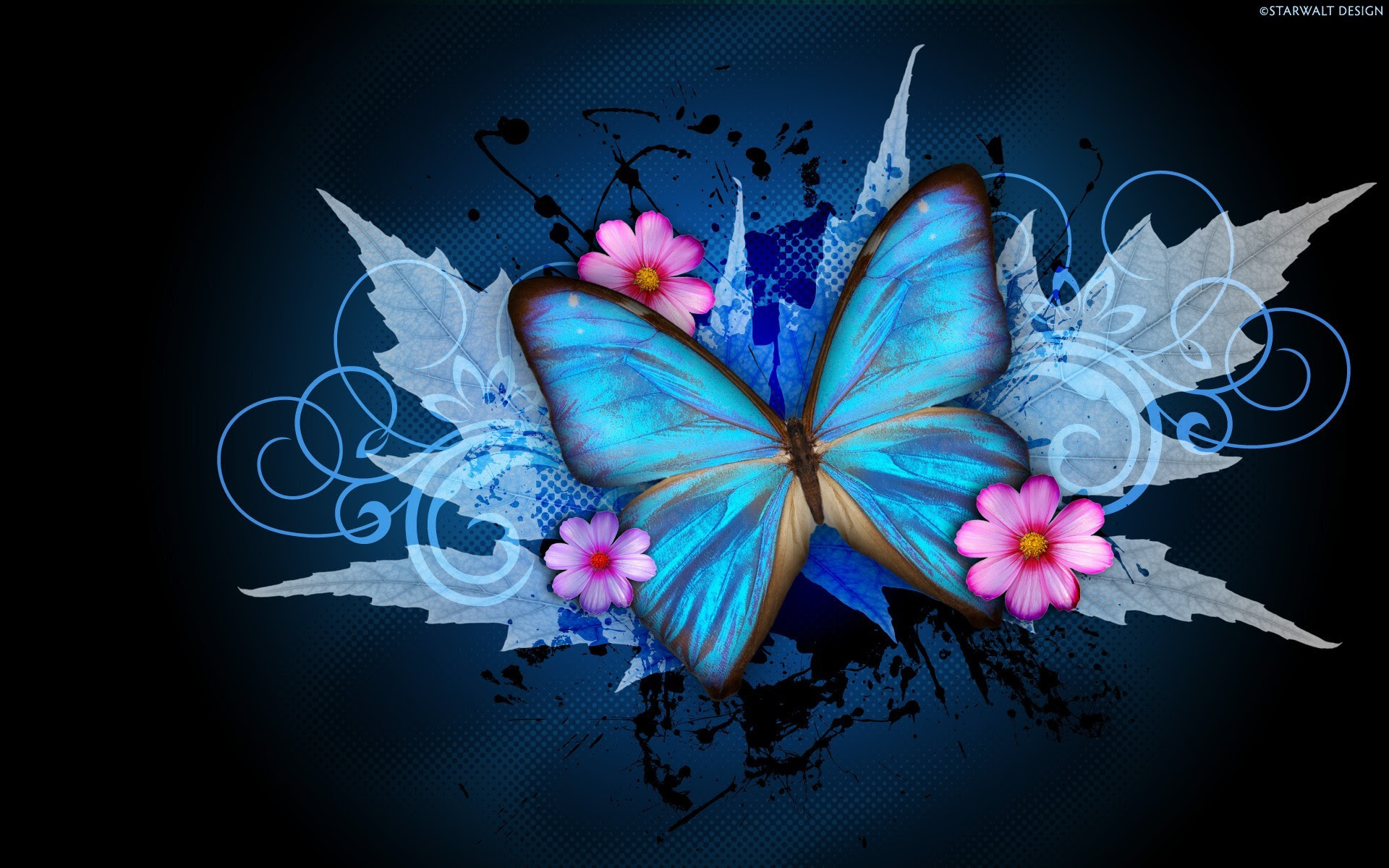Butterfly HD Wallpaper (68+ images)