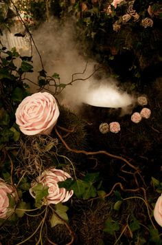Rose Cauldron