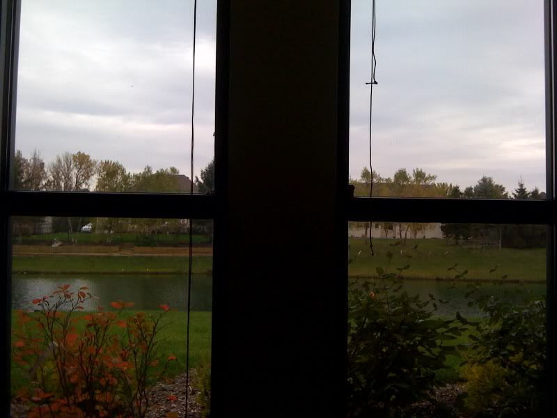 view from a root canal