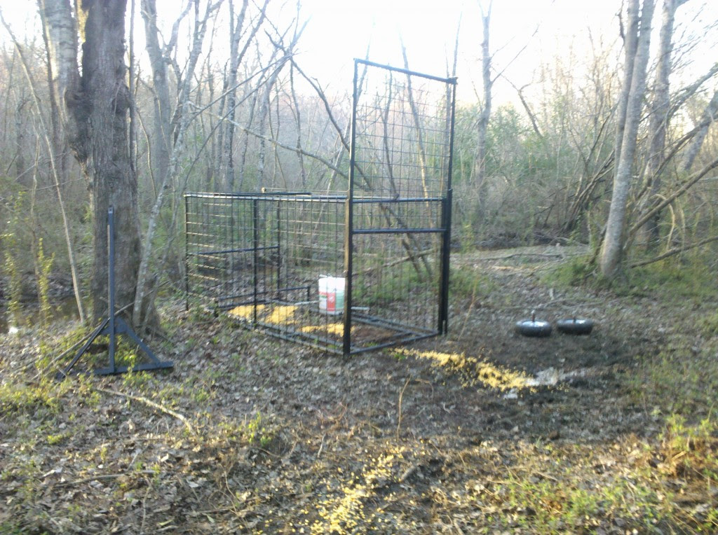How To Build A Guillotine Hog Trap Door