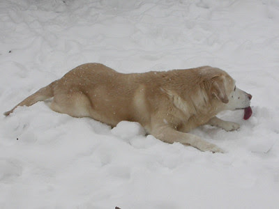 Snowy French Kiss