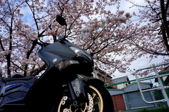 2016-04-04 (2)