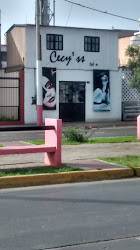 Cecy'ss Salón Spa