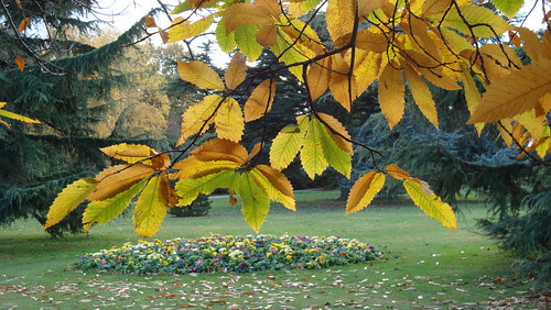 Fall's end in Greenwich (47)