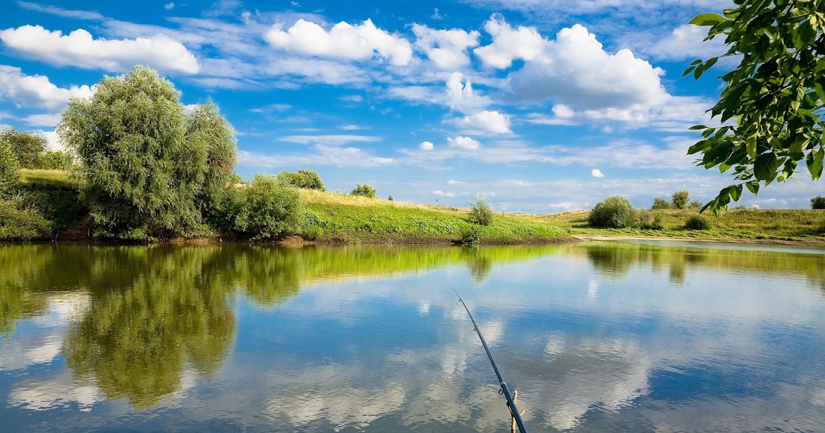 Fishing Wallpaper Hd - Fishing Float In A Lake Hd Wallpaper Background