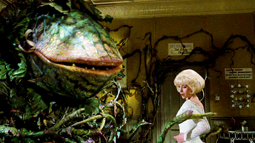 Feed Me Meme Little Shop Of Horrors