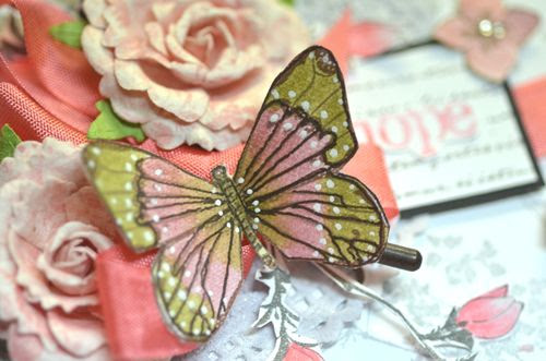Closebutterfly Closebutterfly