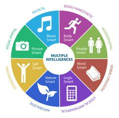 learning styles visualized in pie chart