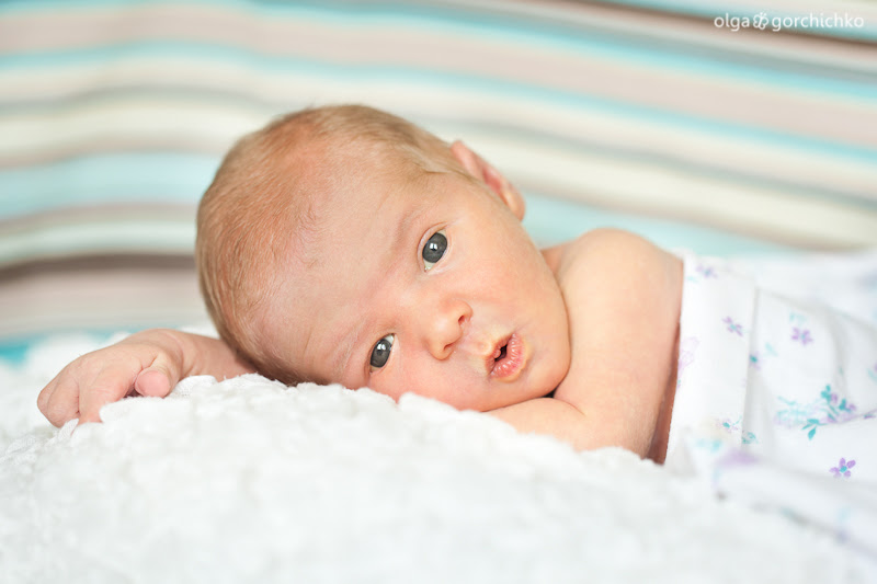 Никита, 14 дней. Фотосессия новорожденного Гродно
