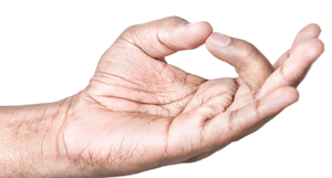 Mudra Shuni