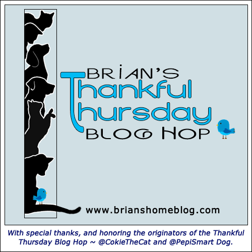 Thankful Thursday Blog Hop