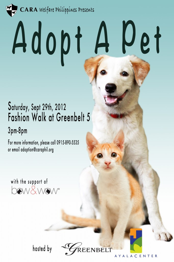 Adopt A Pet Malaysia : Adopt a dog or cat today! - axsplaitid