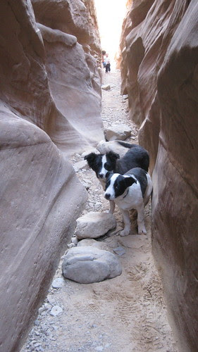 03.27.10 Little Wild Horse Canyon