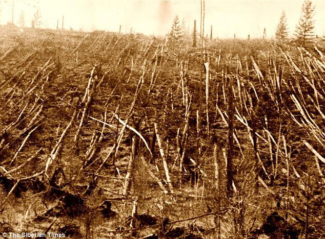 A large fireball was seen crossing the Siberian sky on June 20, 1908 before an eruption six miles above ground flattened 80 million trees and left charred reindeer carcasses. Some experts  believe this was a Taurids object (stock image)