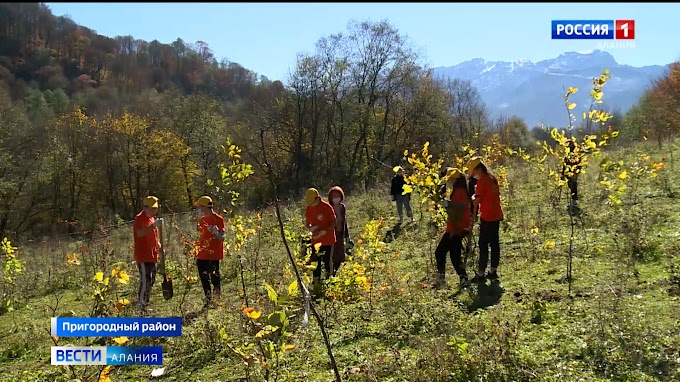 Северная Осетия стала первым субъектом в СКФО, в котором стартовала всероссийская акция «Сохраним лес»