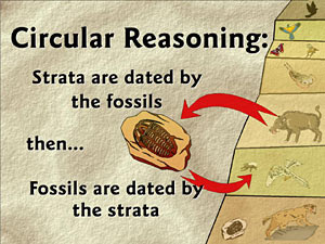 Image result for index fossils circular reasoning