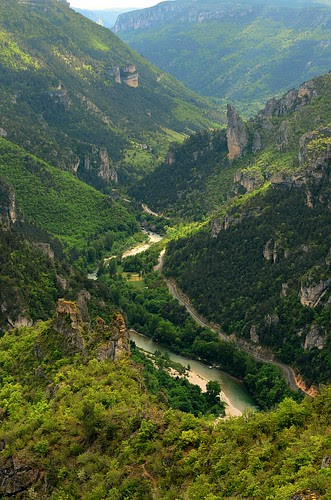Gorges du Tarn