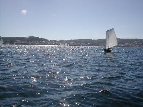 DSCN5537
