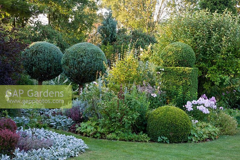Mixed border with Buxus - Box and Chamaecyparis topiary. Berberis thunbergii 'Atropurpurea Nana', Eleagnus, Nepeta grandiflora 'Dawn to Dusk', Phlox paniculata 'Monica Lynden-Bell', Sambucus nigra 'Black Beauty', Sedum 'Purple Emperor', Stachys byzantina 'Big Ear', S. byzantina 'Silver Carpet' and Thuja occidentalis 'Smaragd'